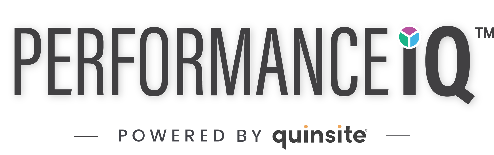 Performance IQ Logo (w trademark)