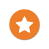 Vital Check_Icon_Star Logo