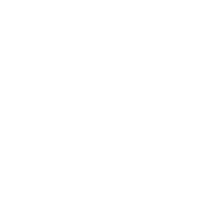 Audit Billing (2)